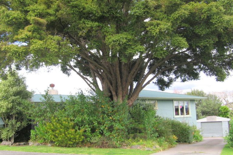Photo of property in 29 Woodford Avenue, Brookfield, Tauranga, 3110