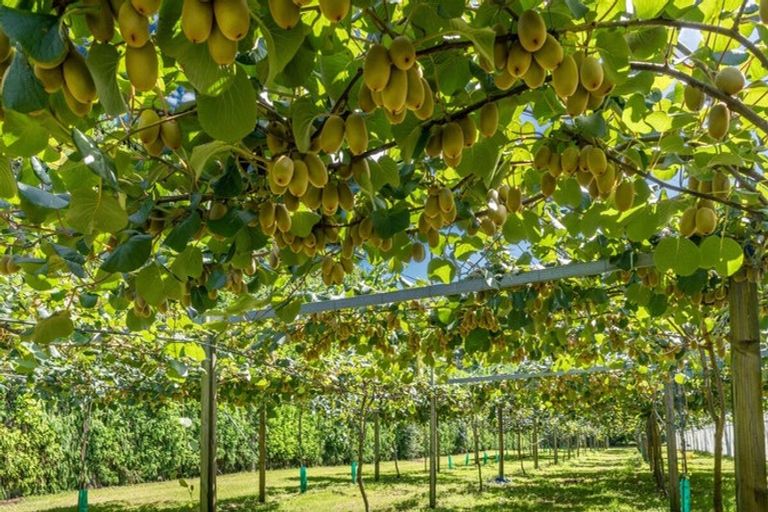 Photo of property in 154b Wairoa Road, Minden, Tauranga, 3171