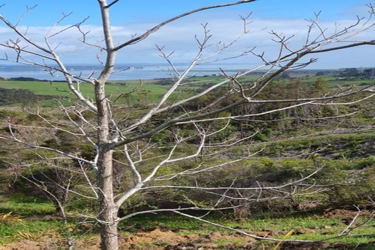 Photo of property in 185 West Road, Kaukapakapa, 0873