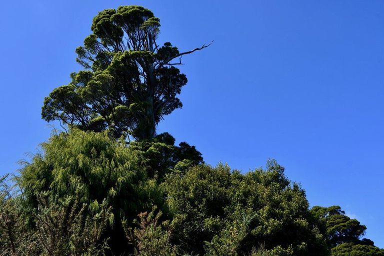 Photo of property in 37 South Terrace Road, Karamea, 7893