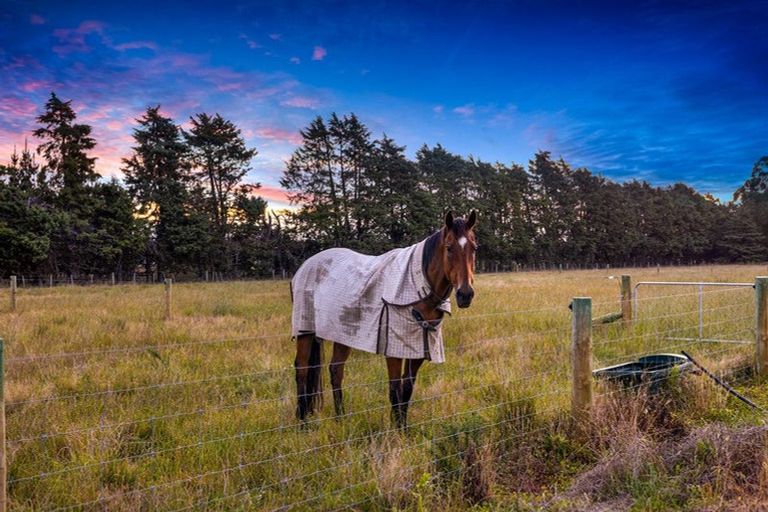 Photo of property in 527 Browns Rock Road, Burnt Hill, Oxford, 7495