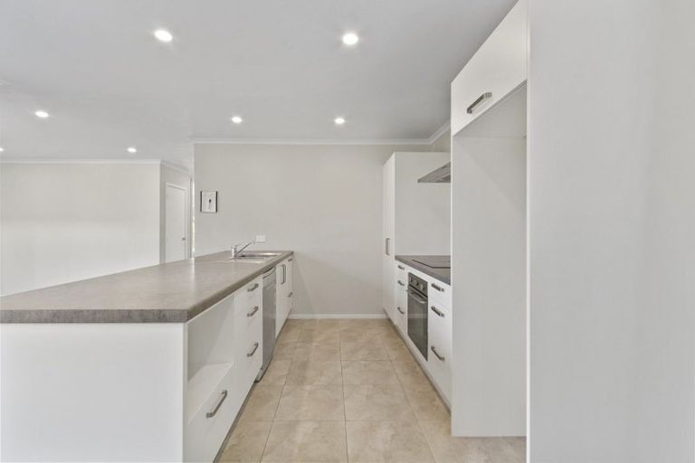 Photo of property in 51 Tennille Street, Flagstaff, Hamilton, 3210