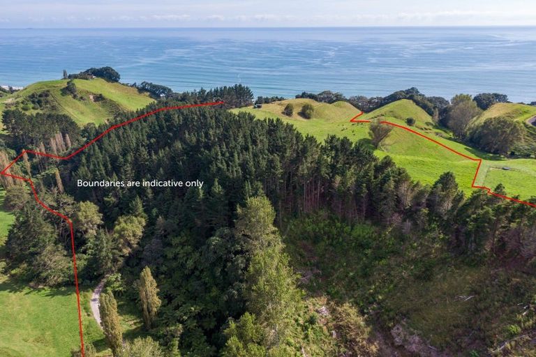 Photo of property in 693 State Highway 2 West, Pikowai, Whakatane, 3194