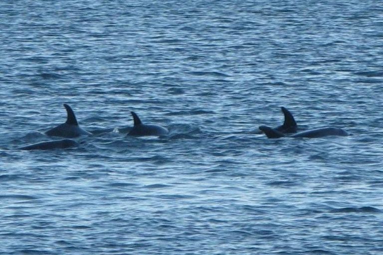 Photo of property in 136 Reotahi Road, Whangarei Heads, Whangarei, 0174