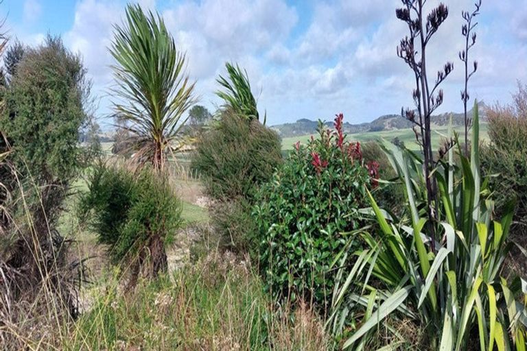 Photo of property in 763 Dunn Road, Ruawai, 0592