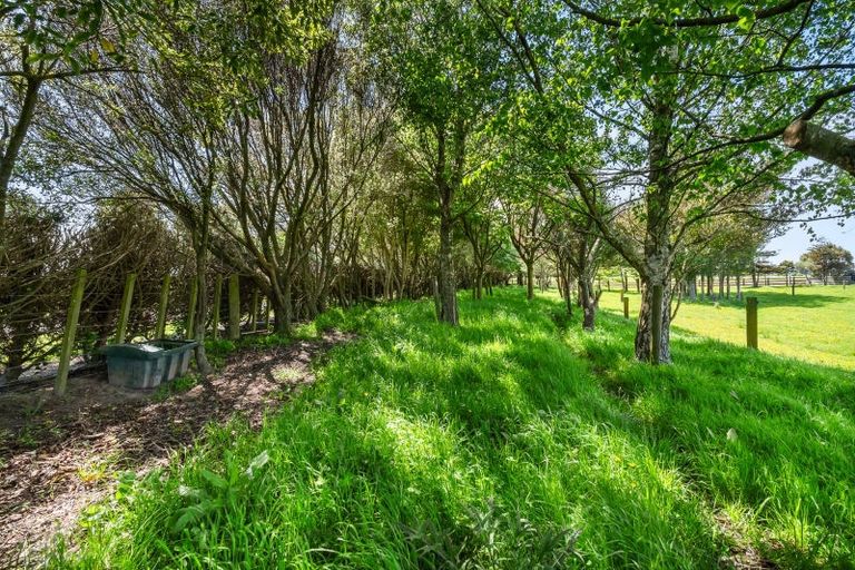 Photo of property in 2923 State Highway 1, Sanson, Palmerston North, 4479