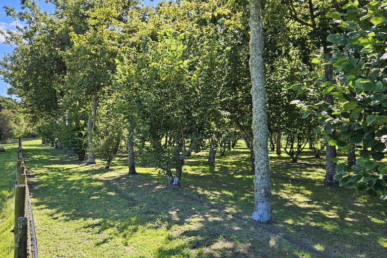 Photo of property in 298 Maungarangi Road, Paengaroa, Te Puke, 3189