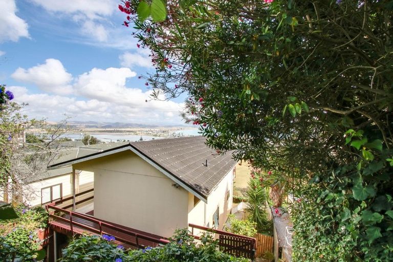 Photo of property in 28 Hospital Terrace, Hospital Hill, Napier, 4110