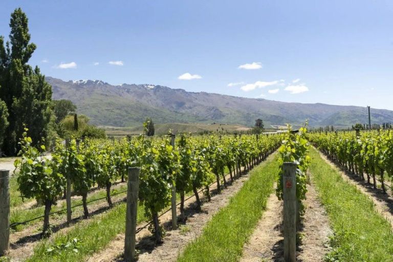 Photo of property in 1034 Luggate-cromwell Road, Mount Pisa, Cromwell, 9383