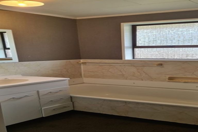 Photo of property in 217e Ruahine Street, Roslyn, Palmerston North, 4414