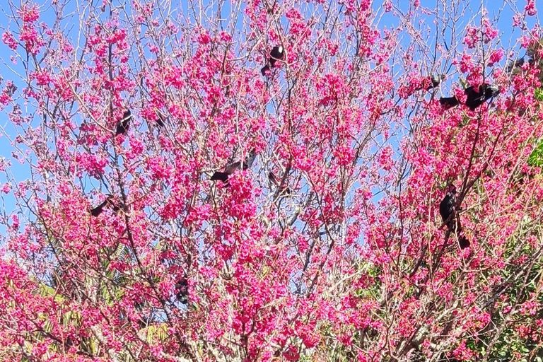 Photo of property in 9 Woodlands Avenue, Snells Beach, 0920