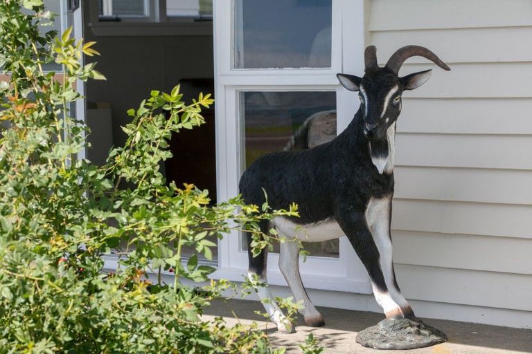 Photo of property in 24 Esplanade Road, Tahawai, Katikati, 3170