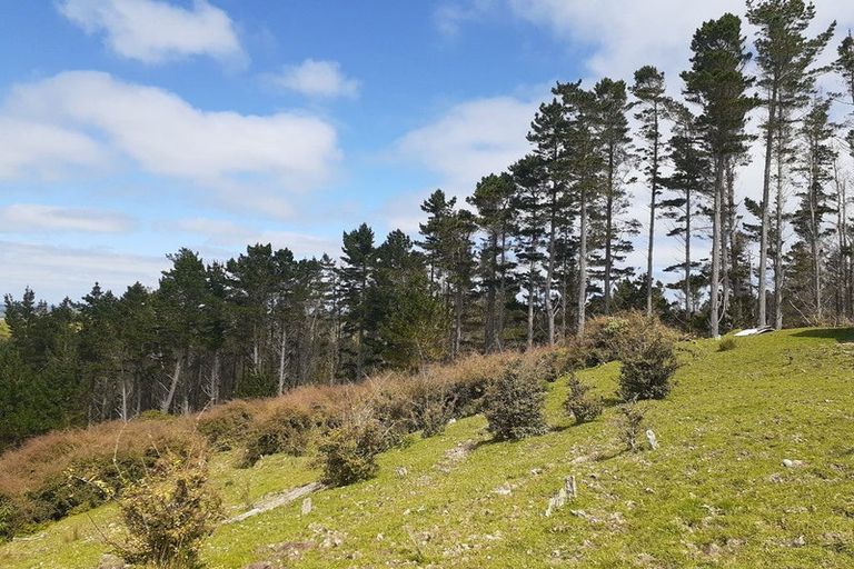 Photo of property in 623 Bickerstaffe Road, Maungaturoto, 0587