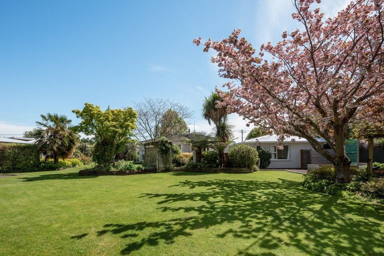 Photo of property in 23 Ward Street, Springlands, Blenheim, 7201