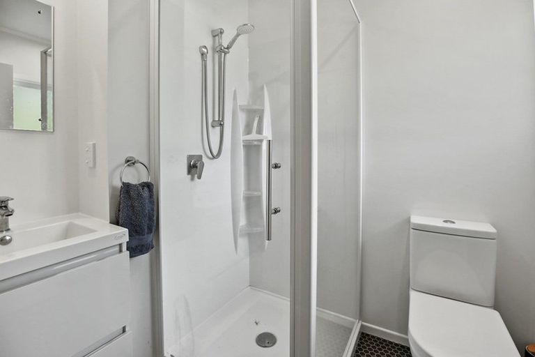 Photo of property in 55 Casey Avenue, Fairfield, Hamilton, 3214