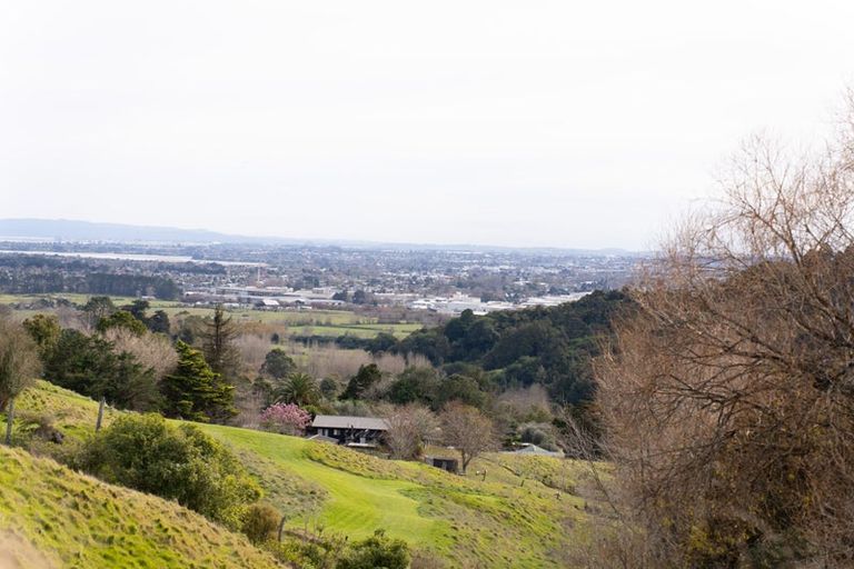 Photo of property in 528 Ponga Road, Opaheke, Papakura, 2584
