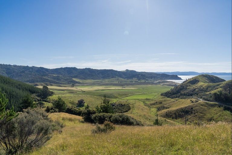 Photo of property in 550 Black Jack Road, Opito Bay, Whitianga, 3592