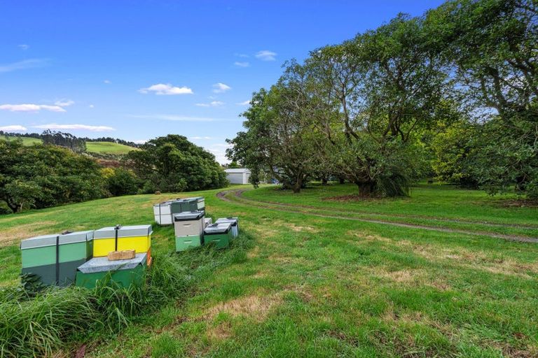 Photo of property in 496 Waitao Road, Waitao, Tauranga, 3175