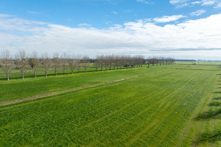 Photo of property in 258 Holland Road, Puketaha, Hamilton, 3286