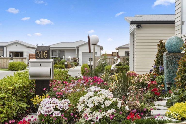 Photo of property in 11 Kamahi Crescent, Papamoa Beach, Papamoa, 3118