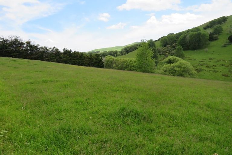 Photo of property in 244 Tinopai Road, Matakohe, 0593