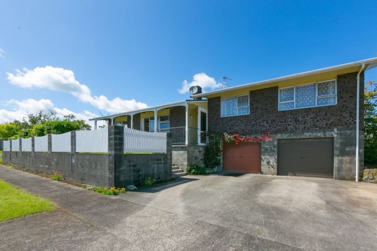 Photo of property in 20 Leon Place, Waitara, 4320