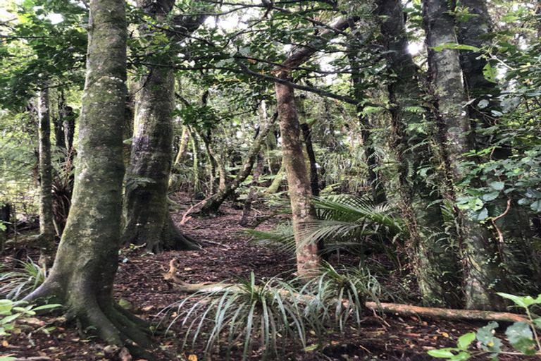 Photo of property in 299 Pekanui Road, Puketotara, Te Awamutu, 3876