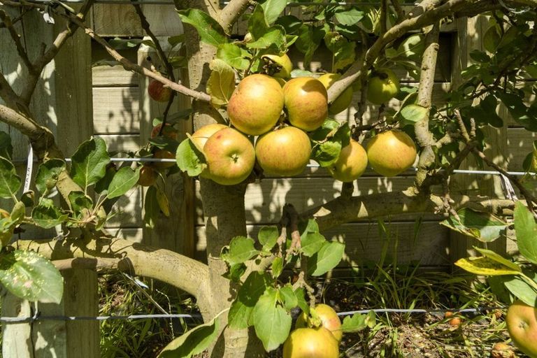 Photo of property in 86b Margaret Drive, Omokoroa, 3114