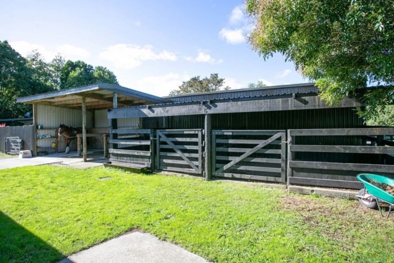 Photo of property in 57 Pukerimu Lane, Cambridge, 3495