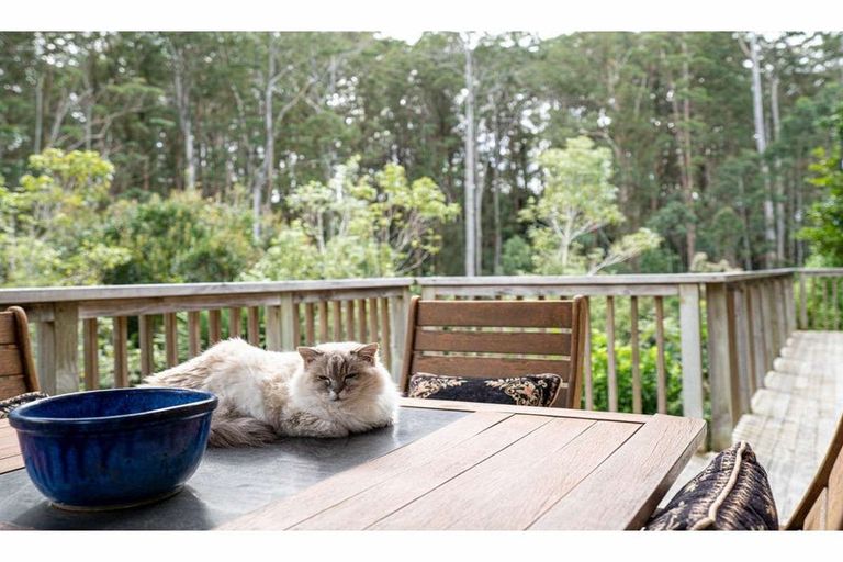 Photo of property in 21 Alderton Drive, Kerikeri, 0230