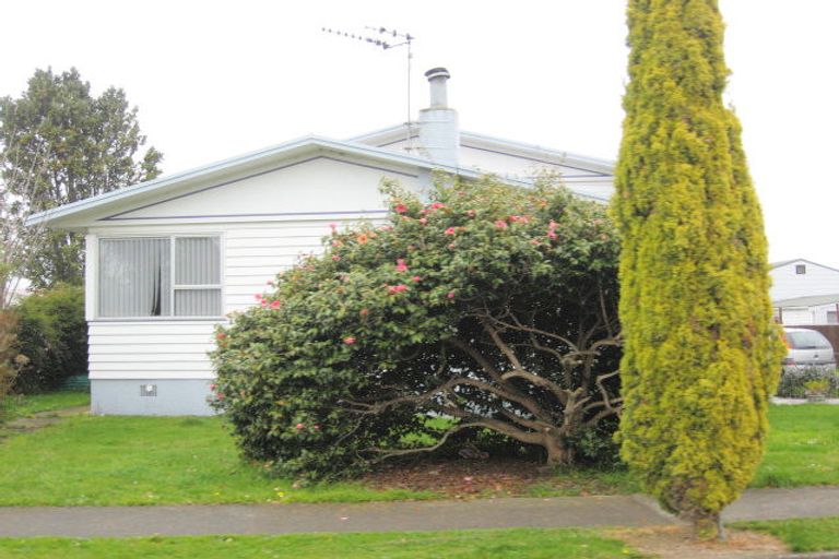 Photo of property in 19 Charles Street, Levin, 5510