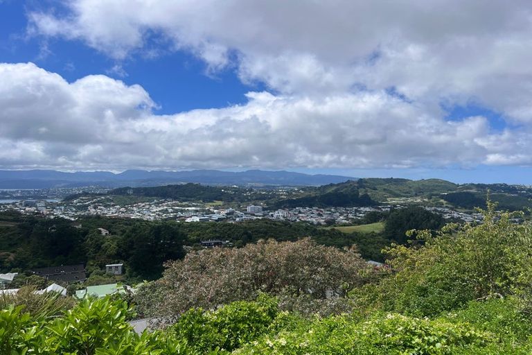 Photo of property in 27b Mana Street, Vogeltown, Wellington, 6021