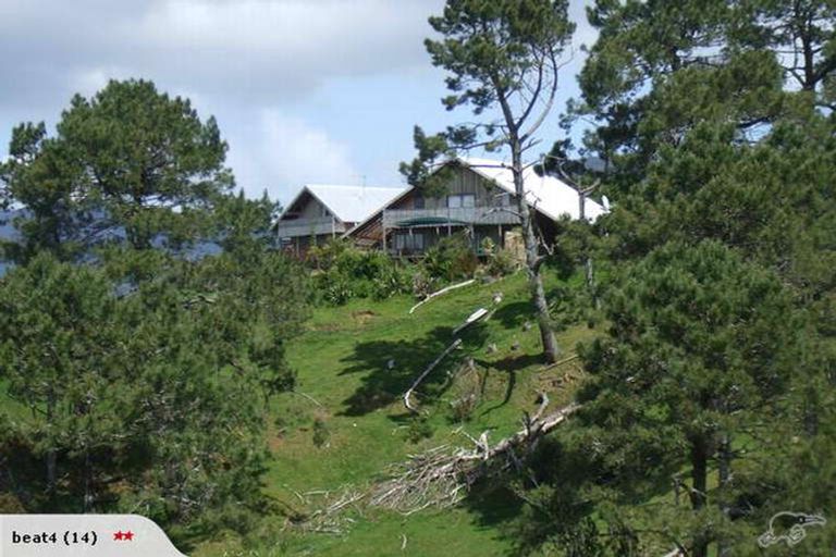 Photo of property in 195 Lindemann Road, Tahawai, Katikati, 3170