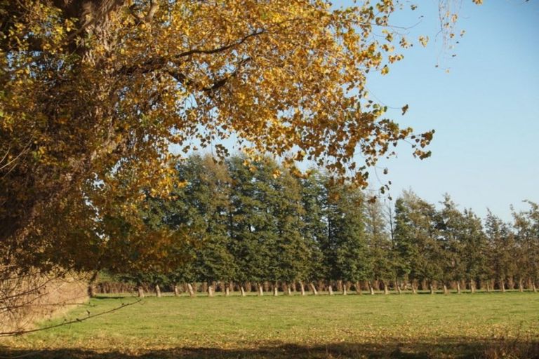 Photo of property in 84a Voss Road, Lincoln, Christchurch, 7674