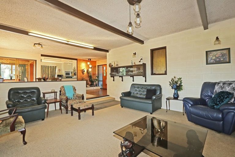 Photo of property in 500 Poplar Place, Akina, Hastings, 4122