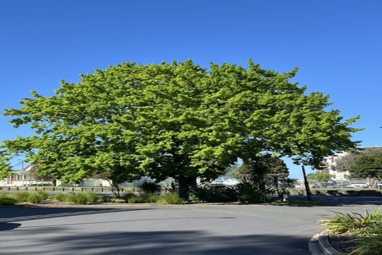 Photo of property in Albany Central, 12c/210 Dairy Flat Highway, Albany, Auckland, 0632