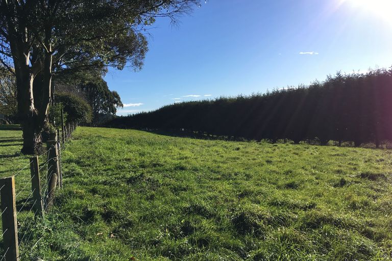 Photo of property in 1331 Waianakarua Road, Kakanui, Oamaru, 9495