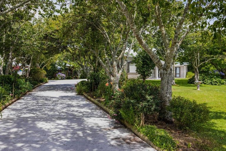 Photo of property in 244 Maata Road, Eltham, 4398