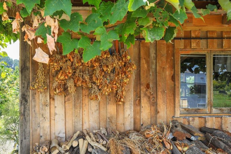 Photo of property in 18 Neavesville Road, Puriri, Thames, 3578