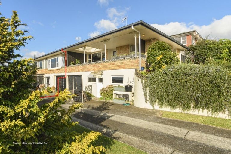 Photo of property in 1/24 Upland Street, Brookfield, Tauranga, 3110