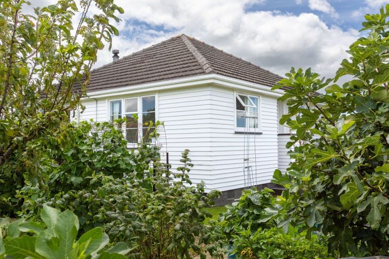 Photo of property in 21 Hall Street, Woodville, 4920