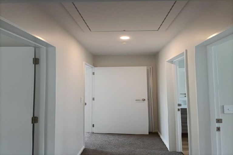 Photo of property in 238a Whitecliffs Road, Whitecliffs, Coalgate, 7673