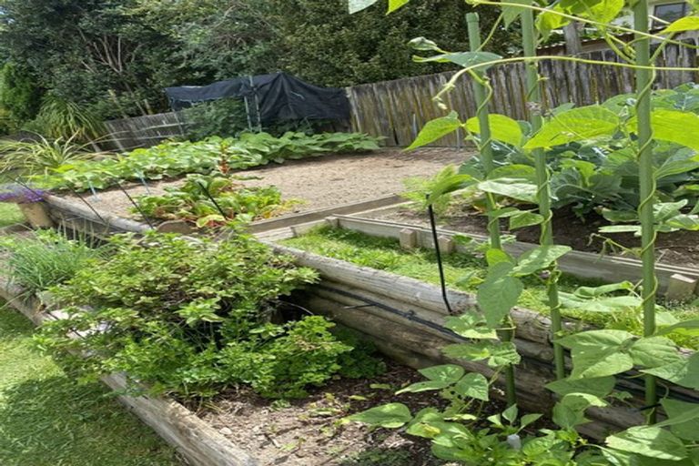 Photo of property in 35 Yorke Road, Haruru, 0204