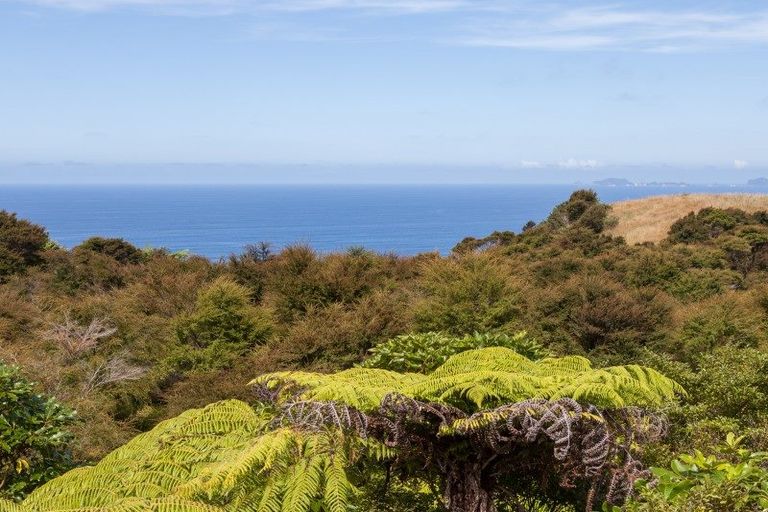 Photo of property in 595 Boat Harbour Road, Whenuakite, Whitianga, 3591