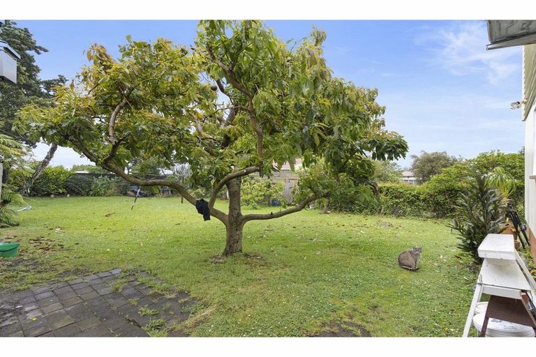 Photo of property in 15 Carlyle Street, Te Aroha, 3320