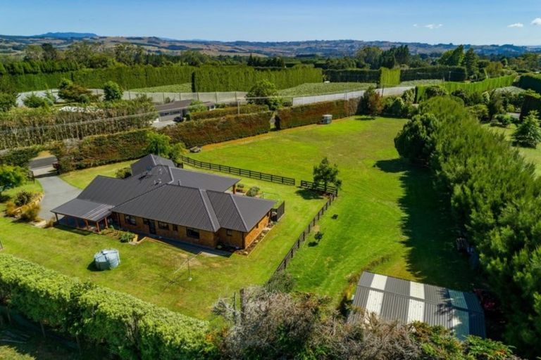 Photo of property in 565 Omanawa Road, Omanawa, Tauranga, 3171