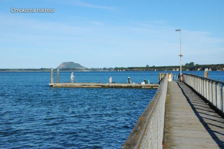 Photo of property in 16 Olive Close, Omokoroa, 3114