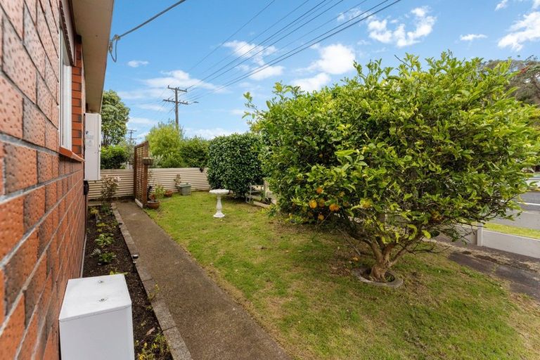 Photo of property in 3/127 Lemon Street, New Plymouth, 4312