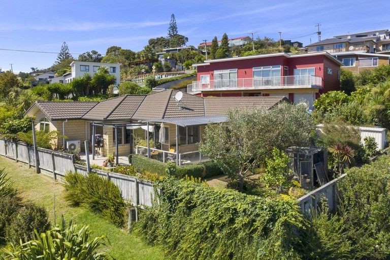 Photo of property in 19 Violet Street, Raglan, 3225