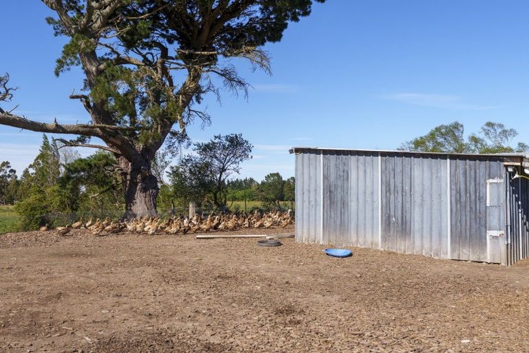 Photo of property in 49 Woodside Road, Oxford, 7430